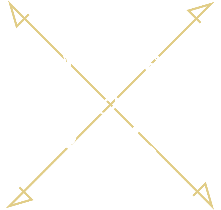 FOREST Cross THE BASE