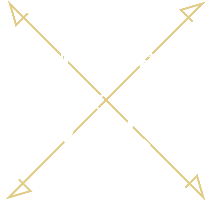 FOREST Cross THE BASE